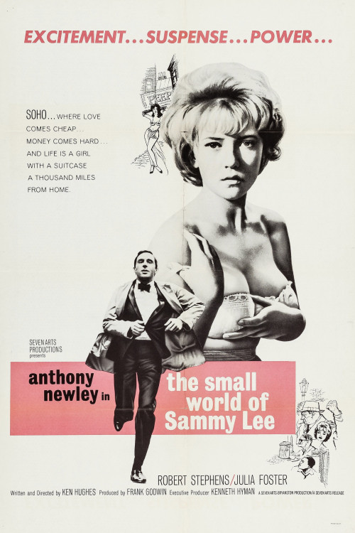 The Small World of Sammy Lee (1963) poster