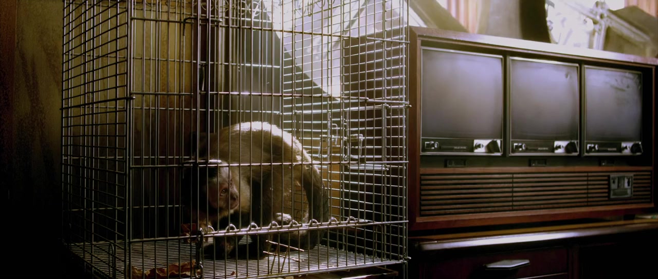 The Smell of Success screenshot 1