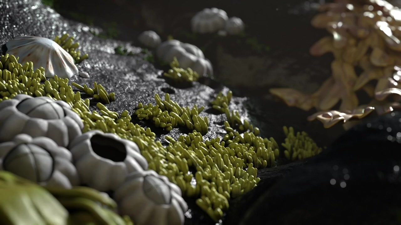 The Snail and the Whale screenshot 3