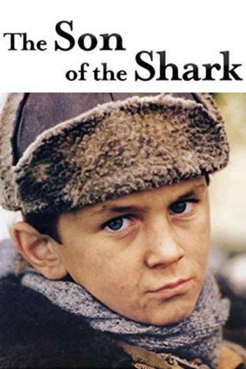 Le fils du requin (1993) poster