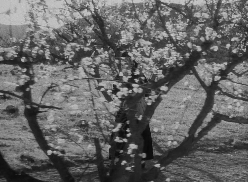 The Song of Songs screenshot 2