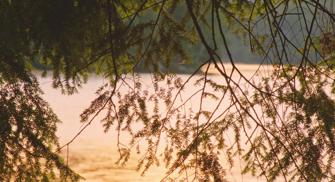 The Song of Sway Lake screenshot 1