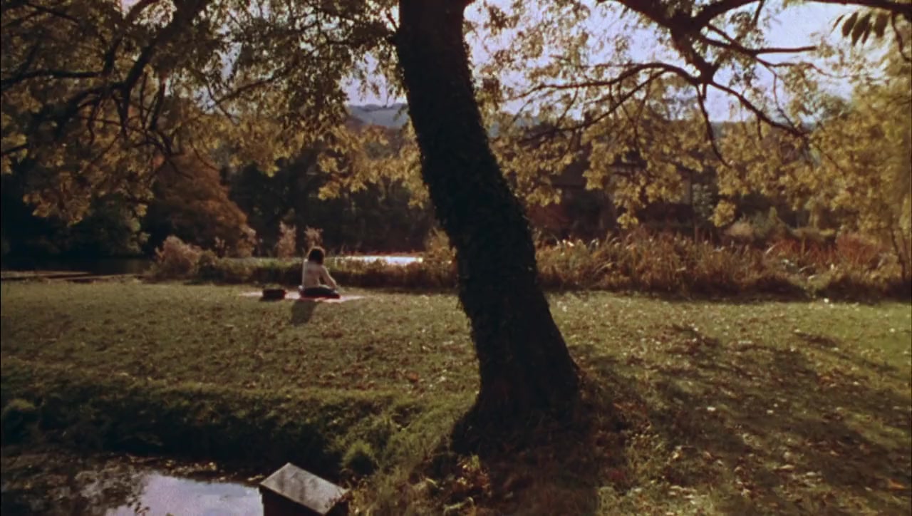 The Song Remains the Same screenshot 1