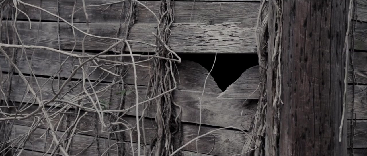 The Source of Shadows screenshot 2