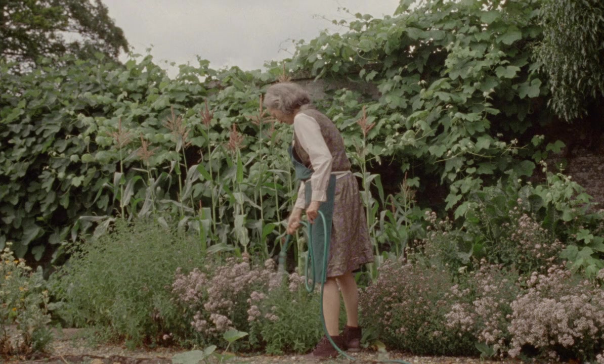 The Souvenir: Part II screenshot 1