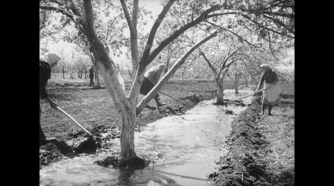 The Soviet Garden screenshot 2