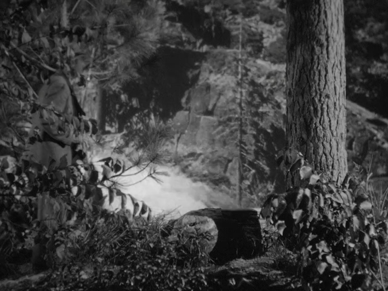 The Spider Woman screenshot 1