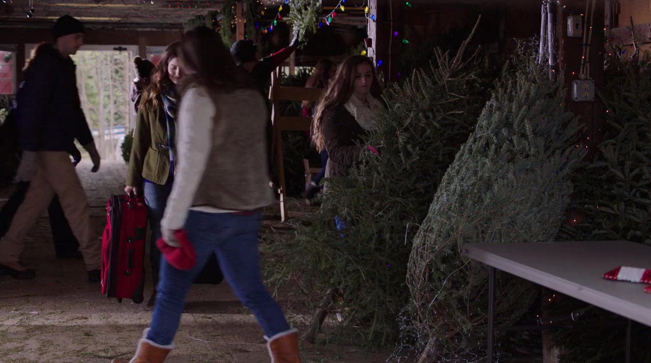 The Spruces and the Pines screenshot 3