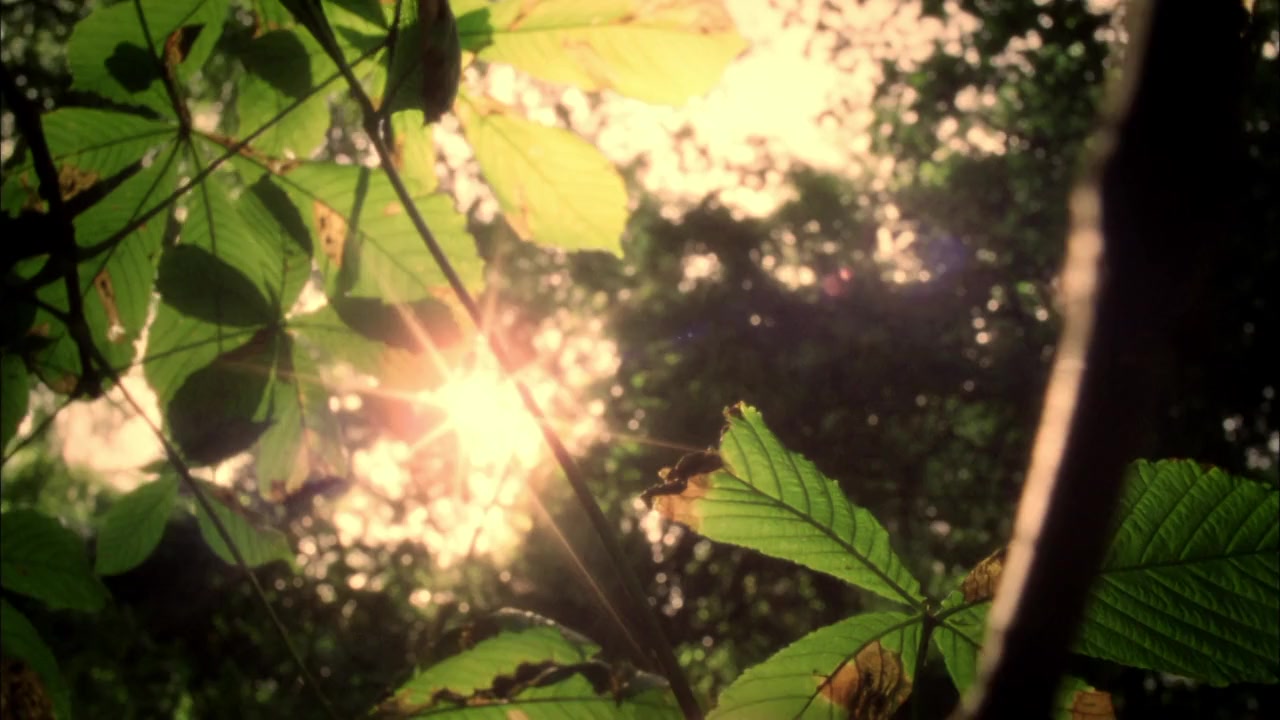The Turn of the Screw screenshot 2