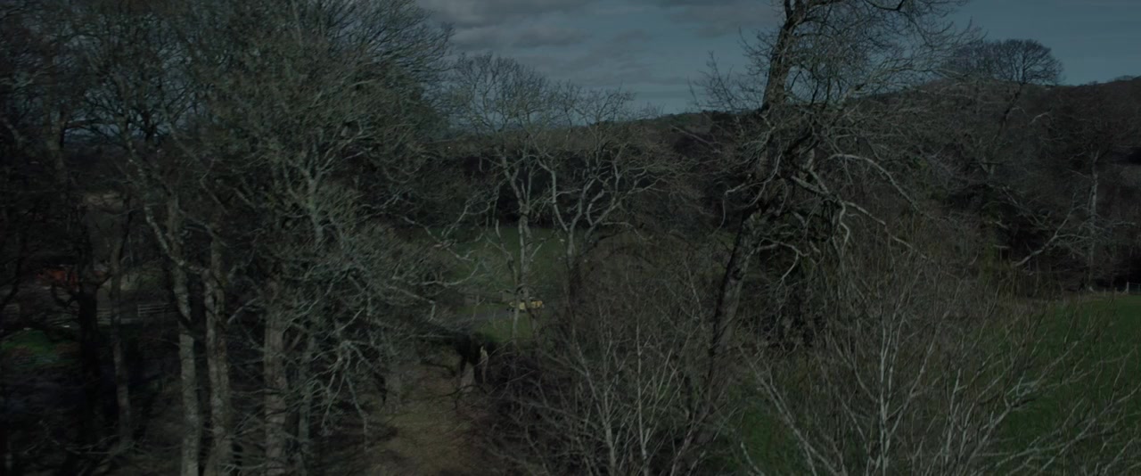 The Turning screenshot 1