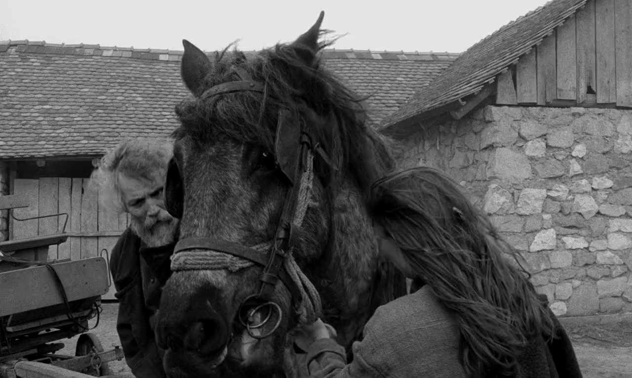 A torinói ló screenshot 2