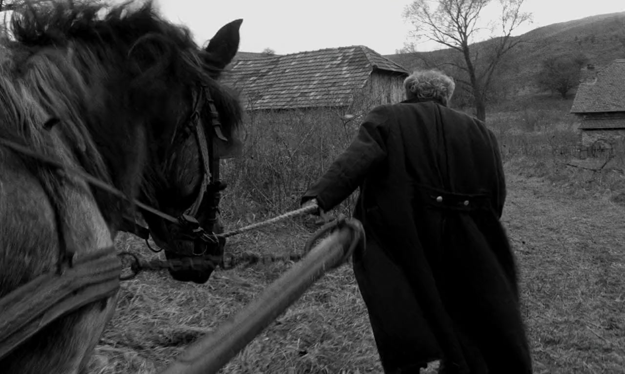 A torinói ló screenshot 3