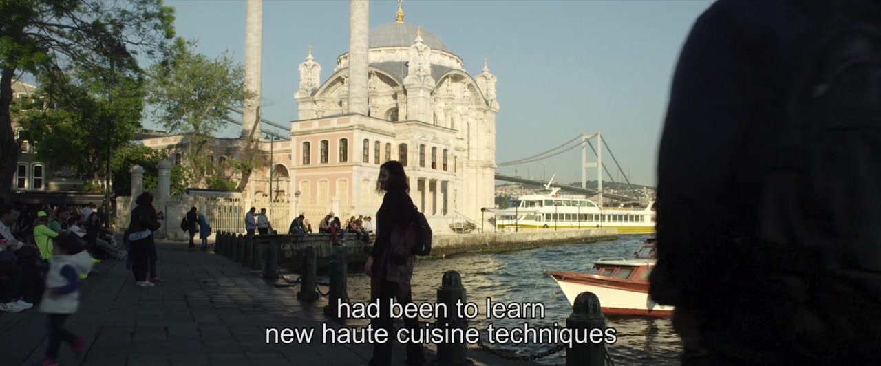 The Turkish Way screenshot 3