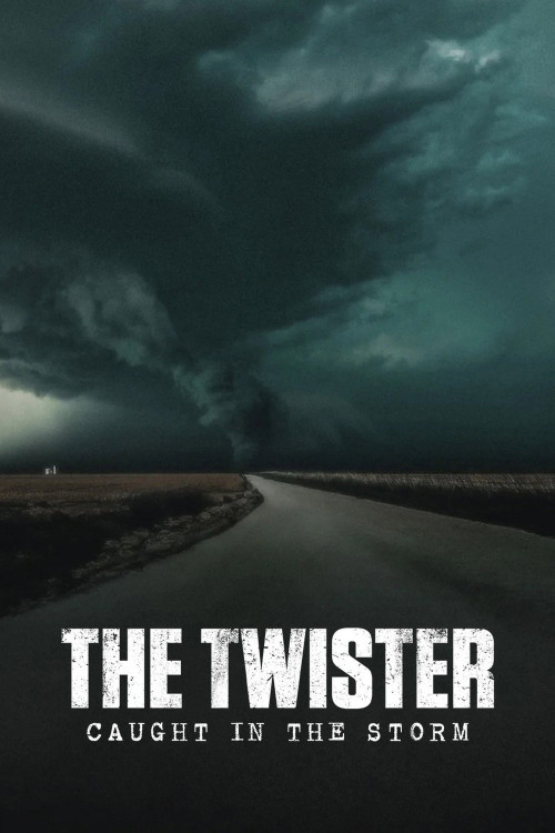 The Twister: Caught in the Storm (2025) poster