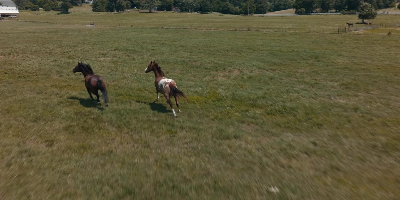 The Twister: Caught in the Storm screenshot 1