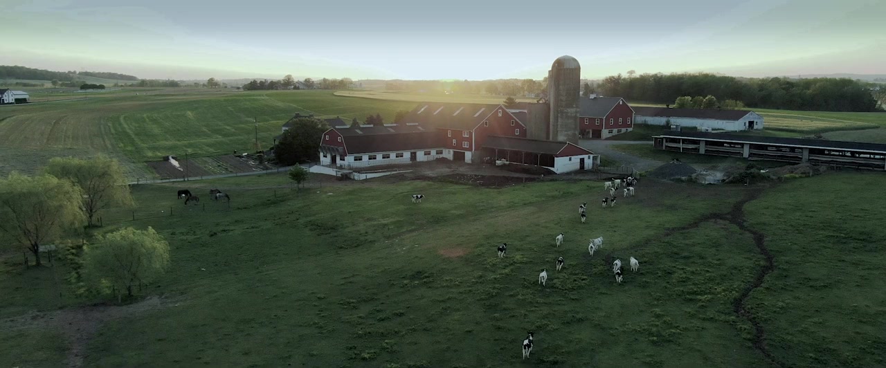 The Twisters screenshot 3