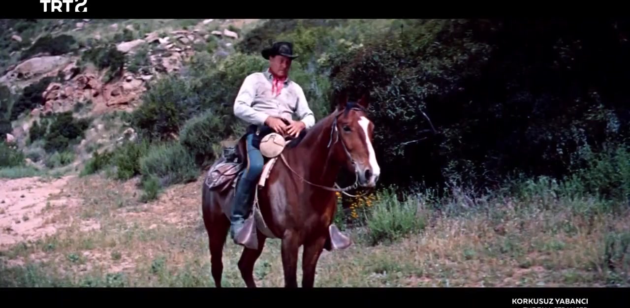 The Tall Stranger screenshot 3