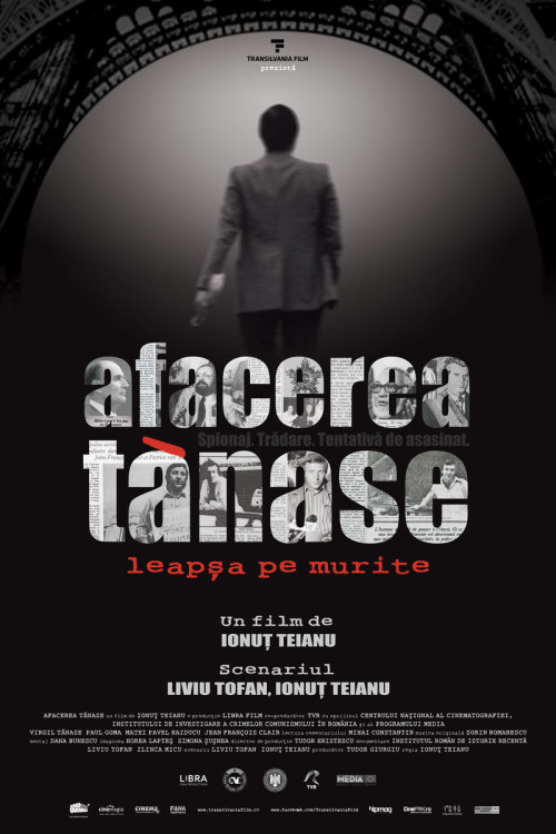 Afacerea Tãnase (2013) poster
