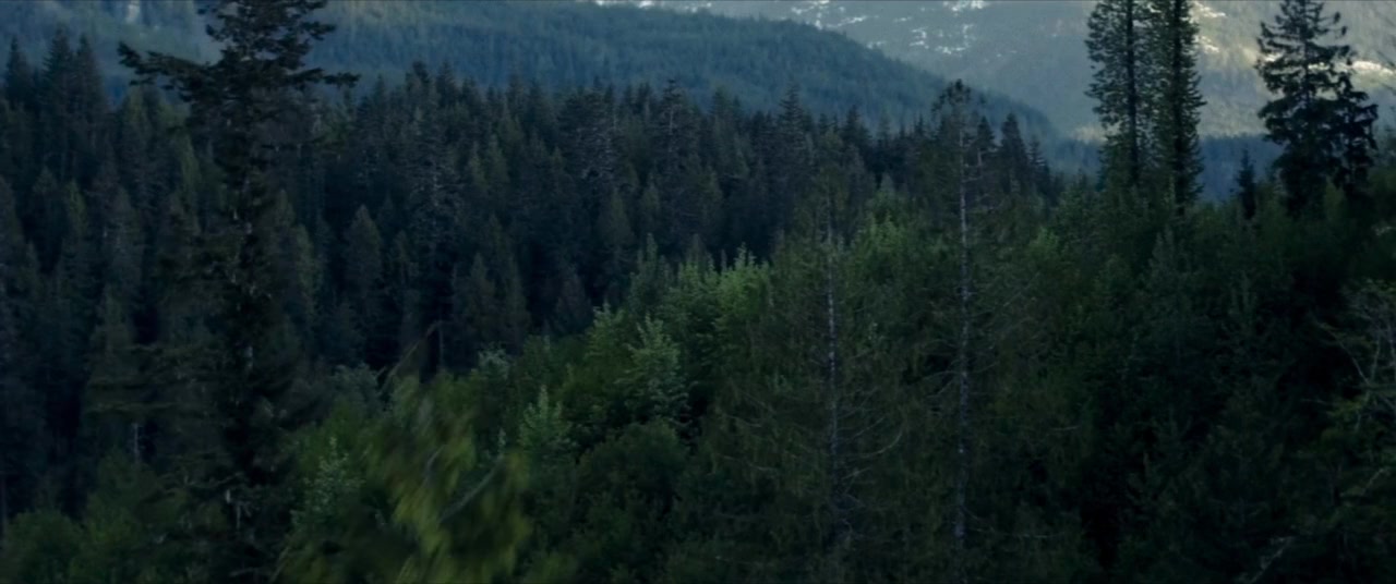 The Tank screenshot 3