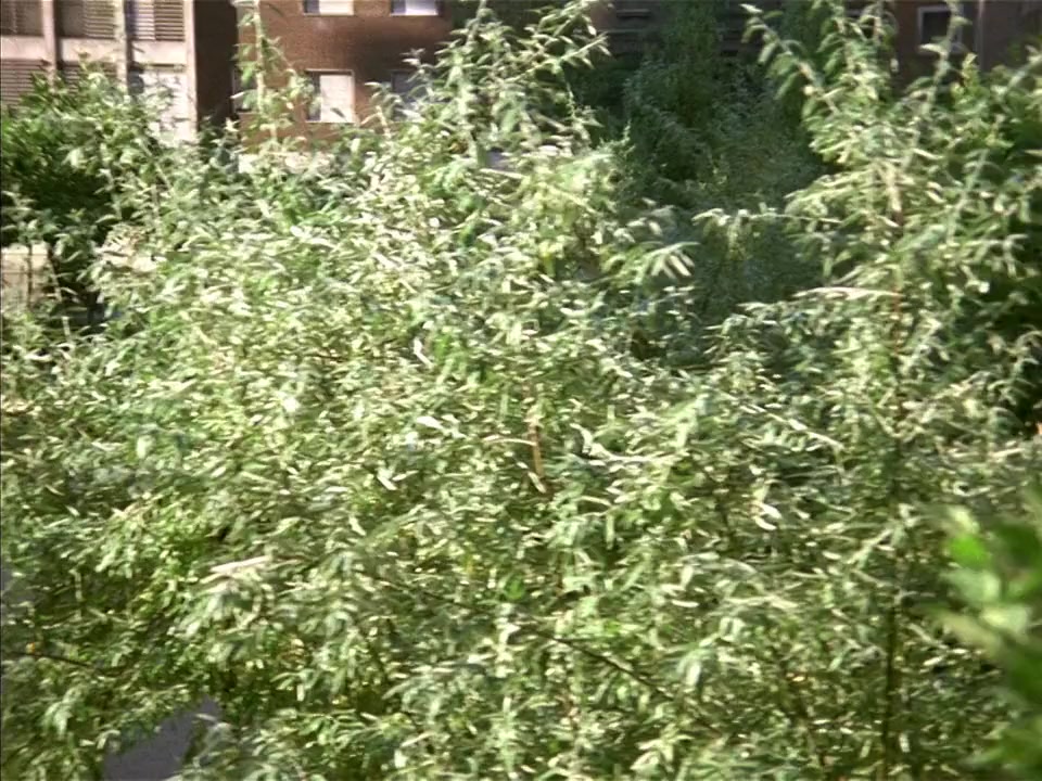 La cabina screenshot 1