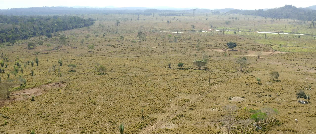 The Territory screenshot 1
