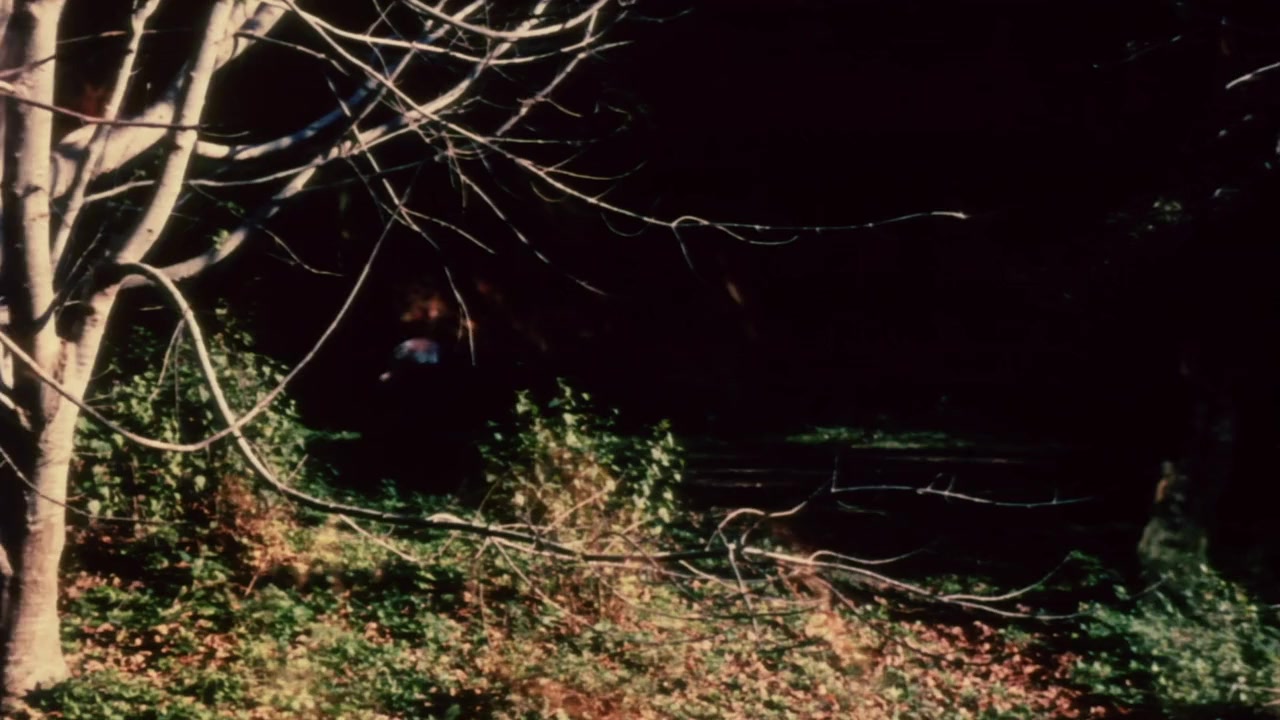 The Terror screenshot 1