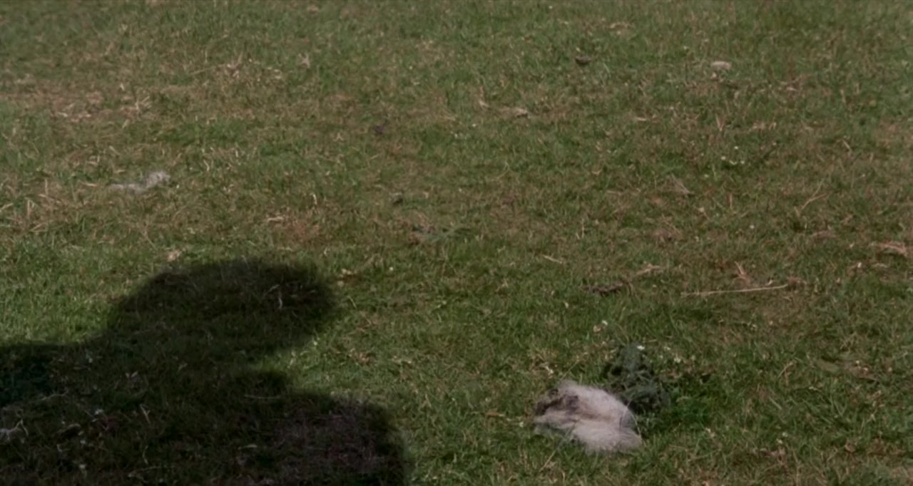 The Theory of Flight screenshot 1