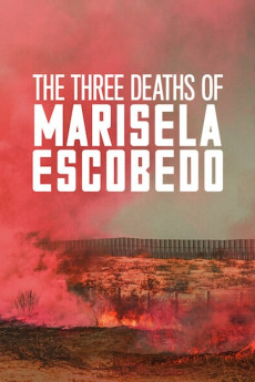 Las tres muertes de Marisela Escobedo (2020) poster