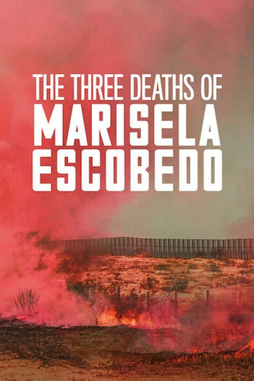Las tres muertes de Marisela Escobedo (2020) poster