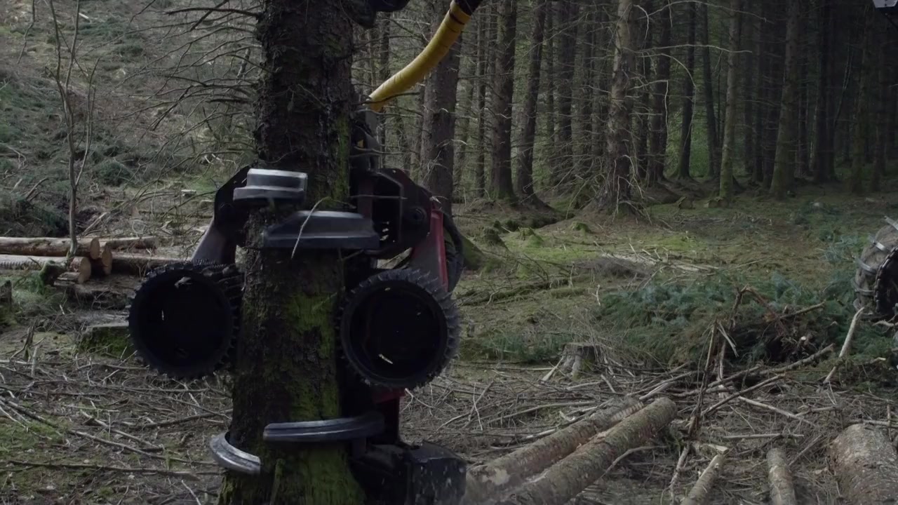 Le temps des forêts screenshot 2