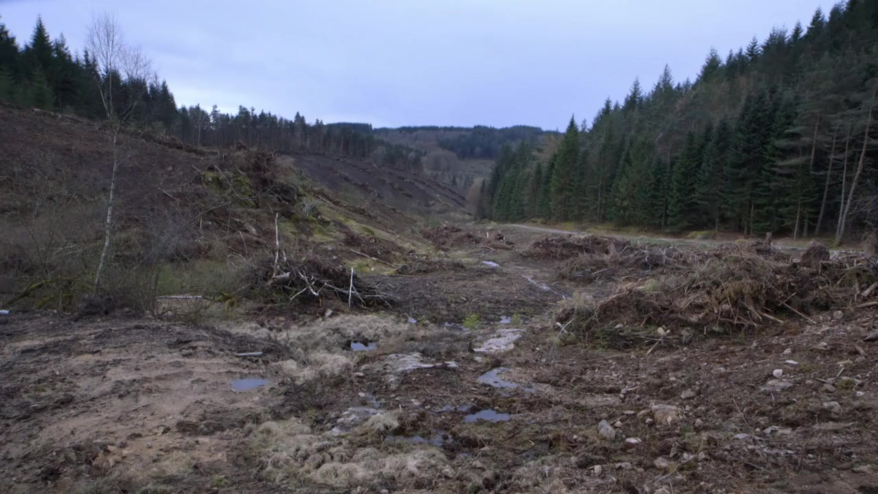 Le temps des forêts screenshot 3