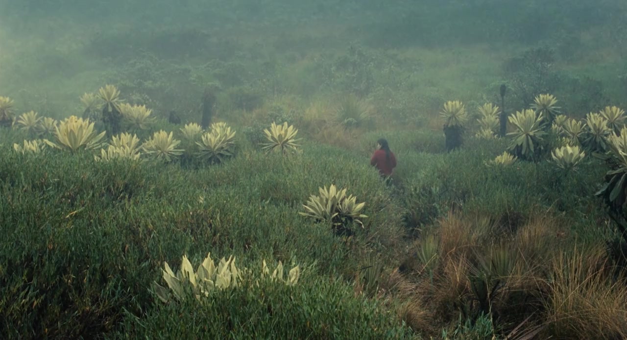 La sirga screenshot 1