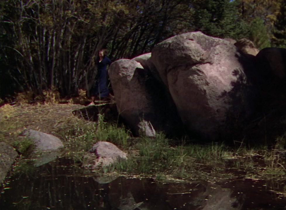 The Trail of the Lonesome Pine screenshot 3
