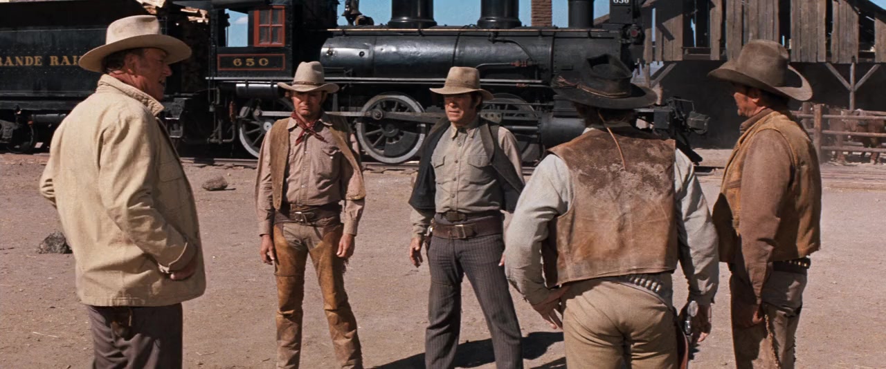 The Train Robbers screenshot 1