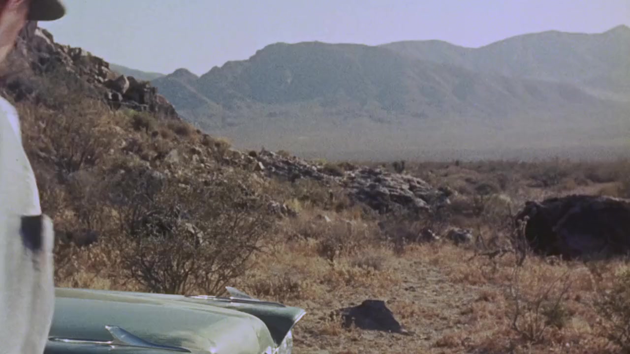 The Trap screenshot 3