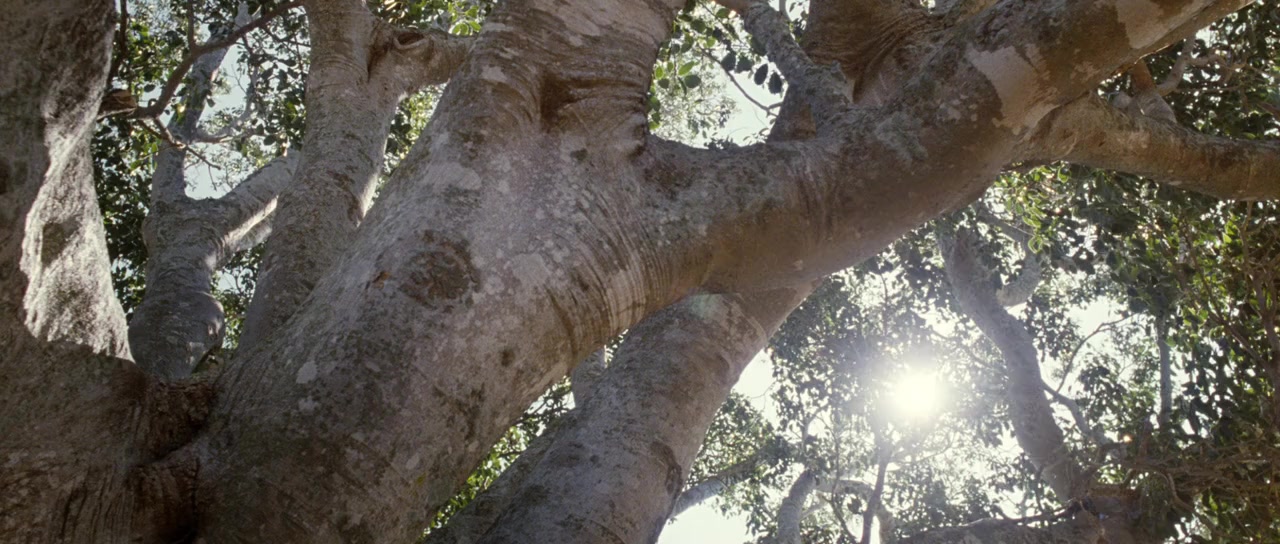 The Tree screenshot 2