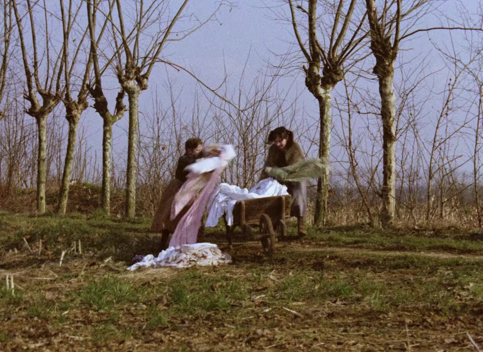 L'albero degli zoccoli screenshot 1