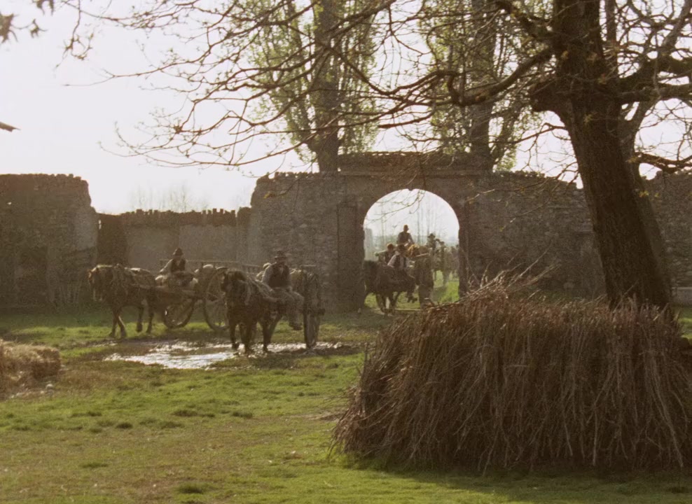 L'albero degli zoccoli screenshot 2