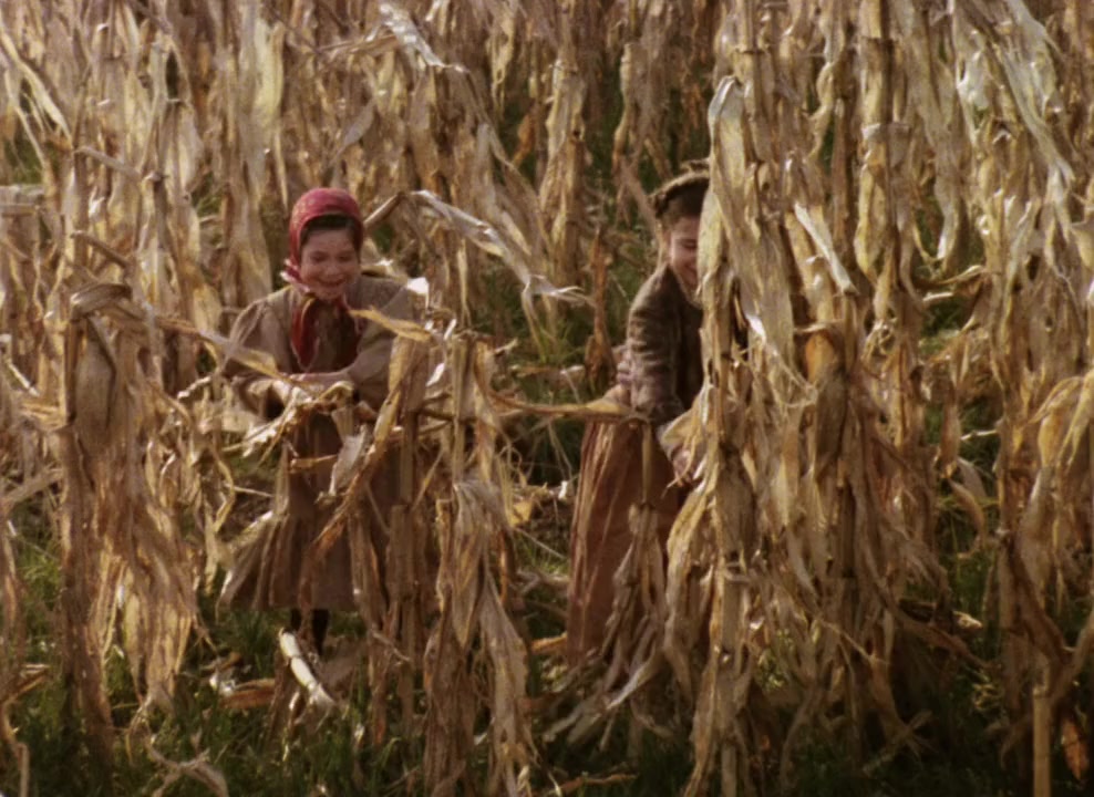 L'albero degli zoccoli screenshot 3