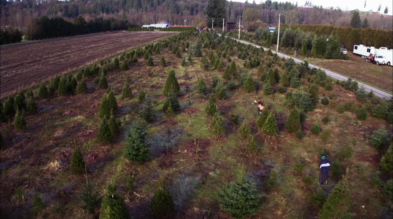 The Tree That Saved Christmas screenshot 3