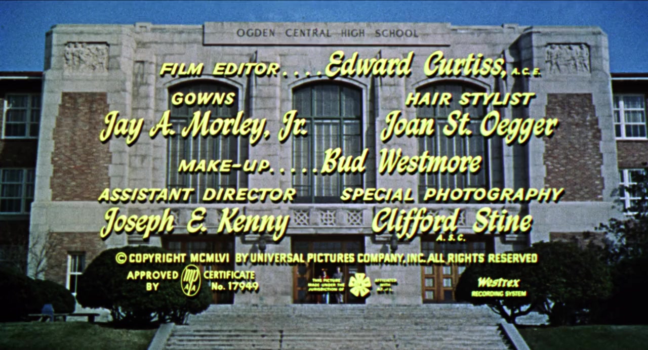 The Unguarded Moment screenshot 1
