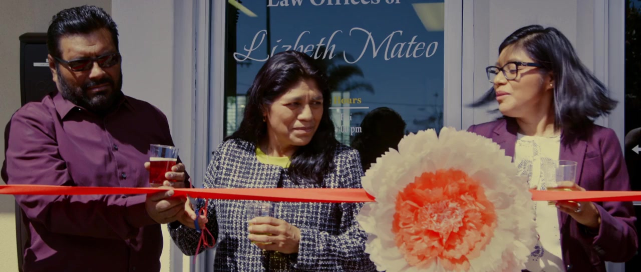 The Undocumented Lawyer screenshot 1