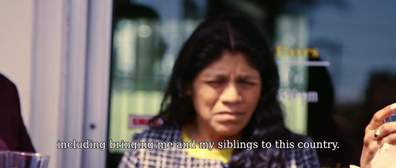 The Undocumented Lawyer screenshot 3