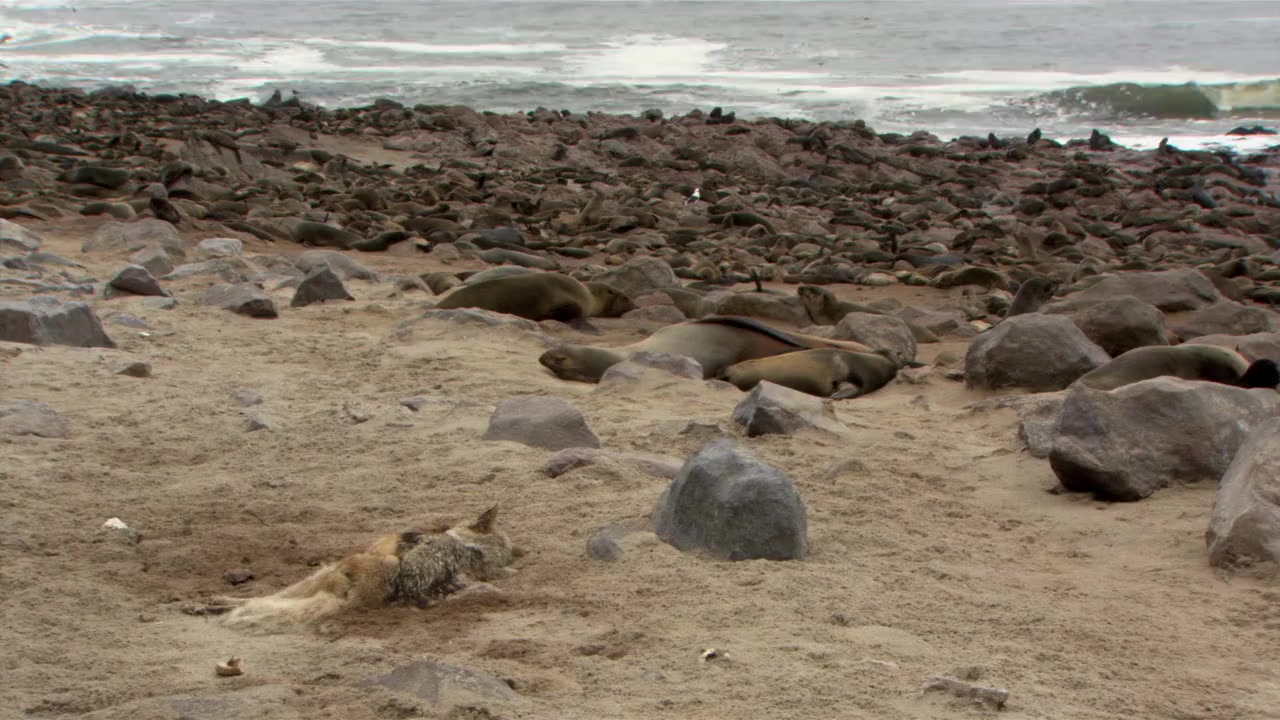 The Underdogs screenshot 1