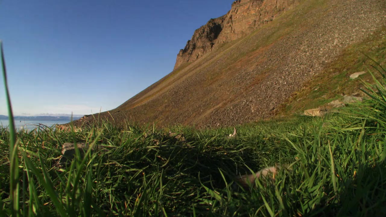 The Underdogs screenshot 2