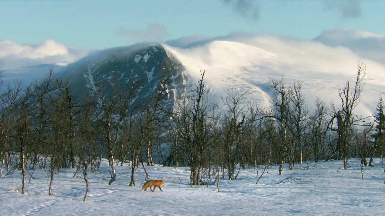 The Underdogs screenshot 3