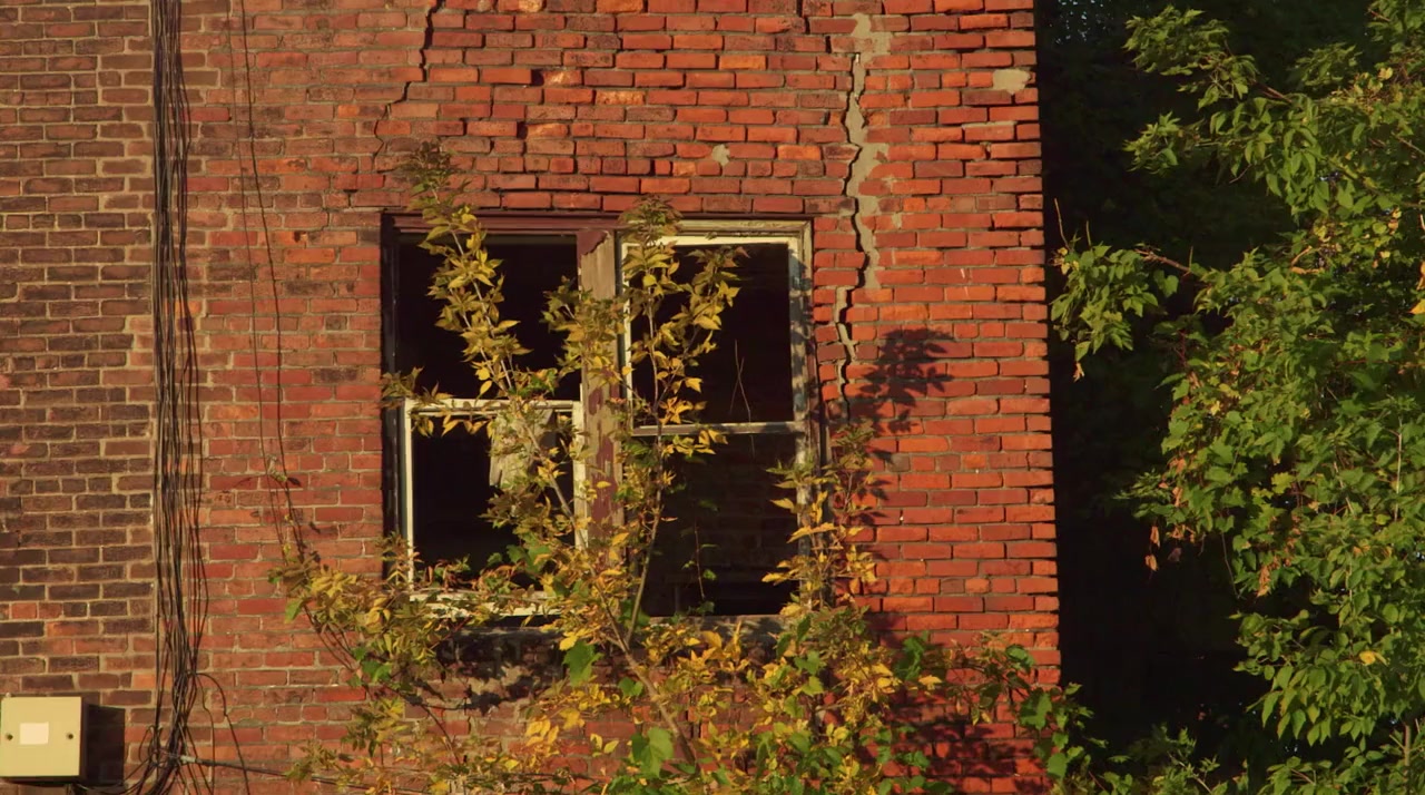 The United States of Detroit screenshot 2