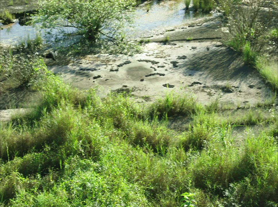 The Unseen River screenshot 1