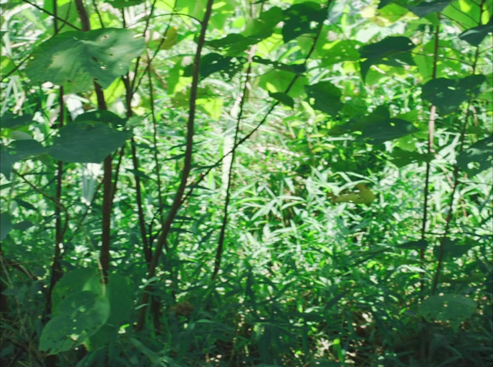 The Unseen River screenshot 2