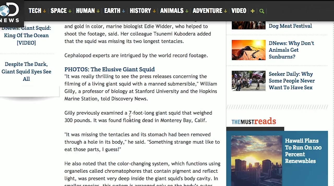 The Unwonted Sasquatch screenshot 3